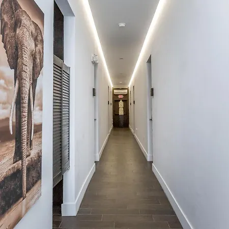 Vive Zen Queen Room Miami Exterior photo