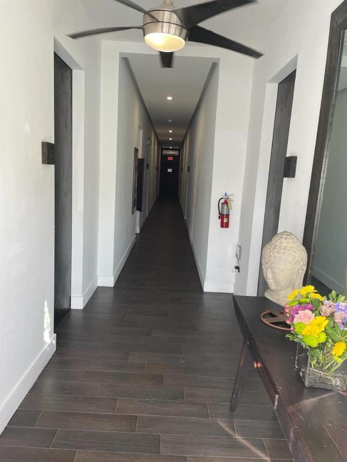 Vive Zen Queen Room
